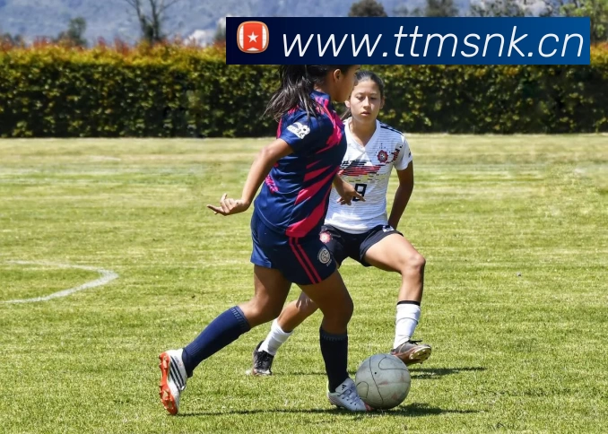 KAIYUN.COM·(中国)官方网站 - 开云APP 封面图